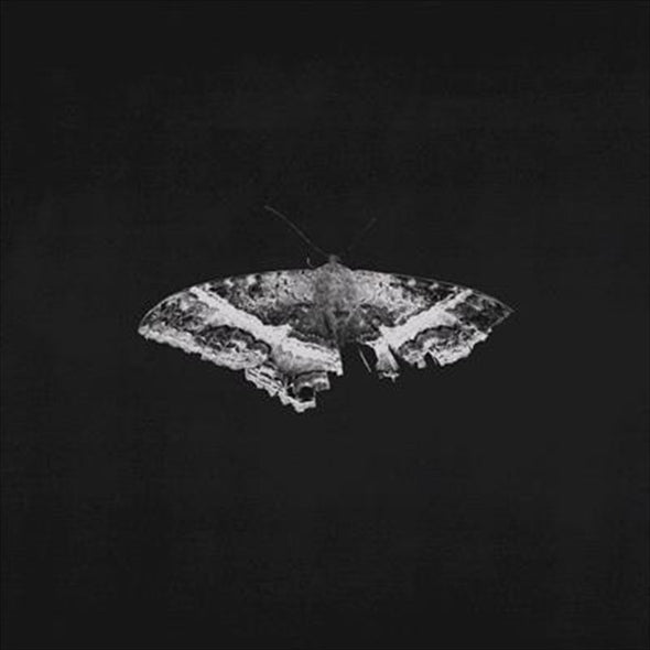 Kendrick Lamar "To Pimp A Butterfly (10 Year Anniversary)" 2xLP