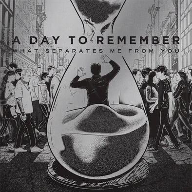 PRE ORDER: A Day To Remember "What Separates Me From You" LP