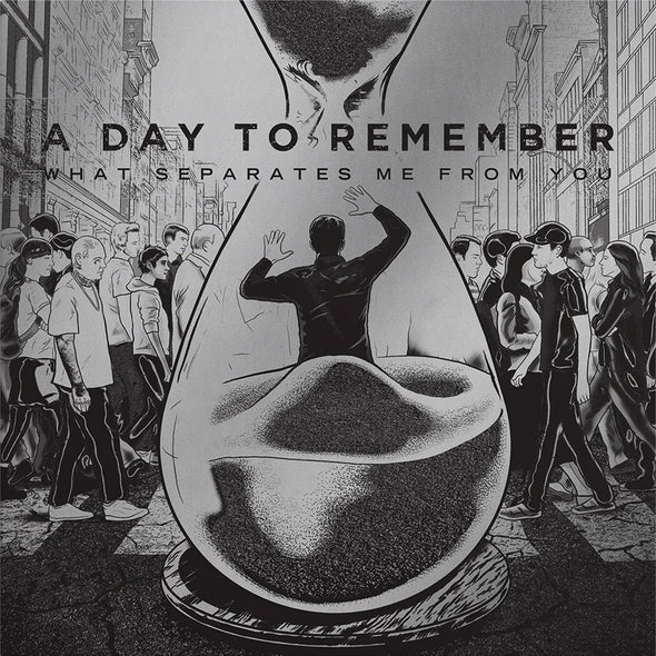 PRE ORDER: A Day To Remember "What Separates Me From You" LP