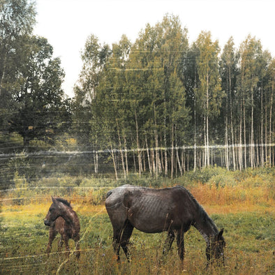 Pianos Become The Teeth "Old Pride" LP