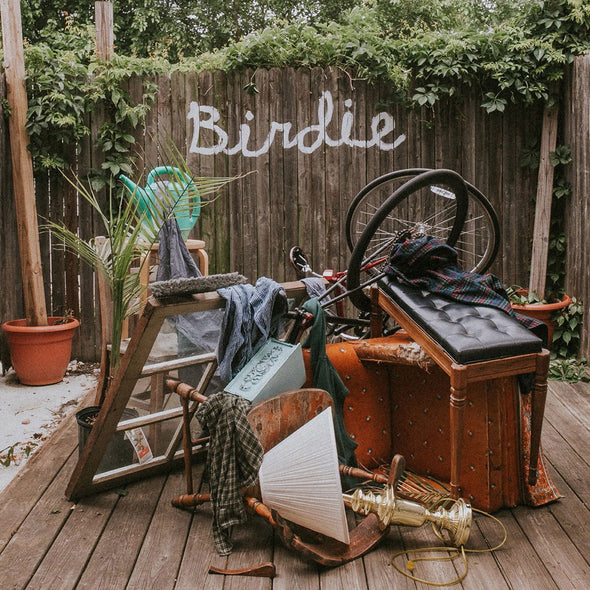 Slaughter Beach, Dog "Birdie" LP