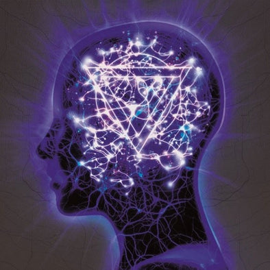 Enter Shikari "The Mindsweep" LP