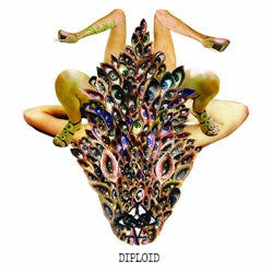 Diploid "Is God Up There?" LP
