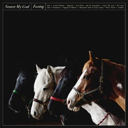 Foxing "Nearer My God" CD