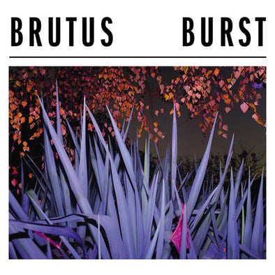 Brutus "Burst" LP