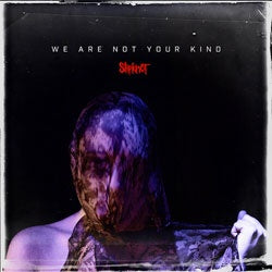 Slipknot "We Are Not Your Kind" LP