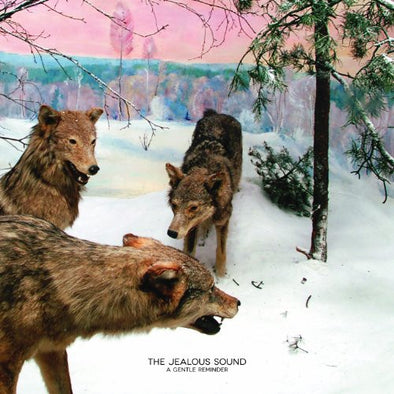 The Jealous Sound "A Gentle Reminder" LP
