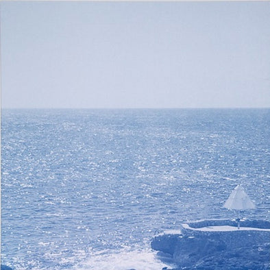 Cloud Nothings "Life Without Sound" LP