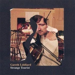 Gareth Liddiard "Strange Tourist" 2xLP