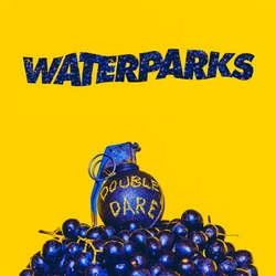 Waterparks "Double Dare" LP