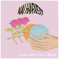 Nai Harvest "Just Like You" 7"