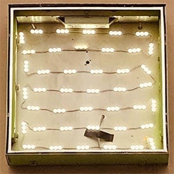 Oso Oso "Basking In The Glow" LP