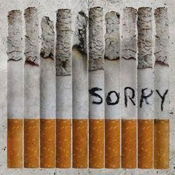 Totally Unicorn "Sorry" LP