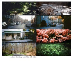 American Pleasure Club "Whole F***ing Lifetime Of This" LP