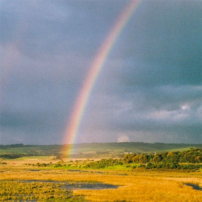 Mallrat "In The Sky" 12"