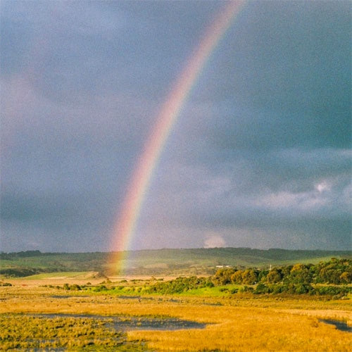 Mallrat "In The Sky" 12"