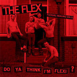 The Flex "Flexual Healing Vol. 5: Do Ya Think I'm Flexi?" 7"