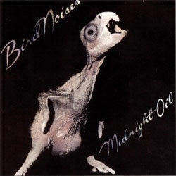 Midnight Oil "Bird Noises" 12"