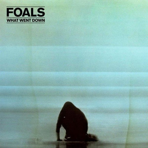 Foals "What Went Down" LP