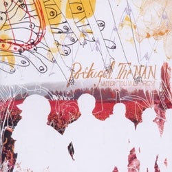 Portugal The Man "Waiter: You Vultures" LP