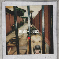 Boys Night Out "Black Dogs" CD