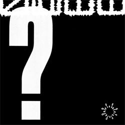 S.H.I.T "What Do You Stand For?" LP