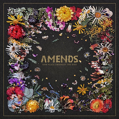 Amends "Our Place Amongst The Dirt" LP