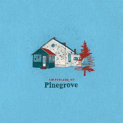 Pinegrove "Amperland, NY" 2xLP