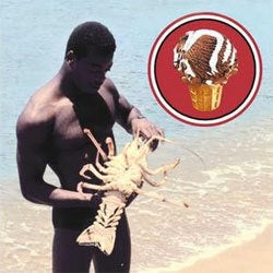 The Drips "Self Titled" LP