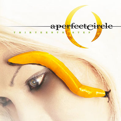 A Perfect Circle "Thirteenth Step" LP