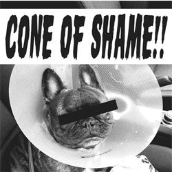 Faith No More  "Cone Of Shame" 7"