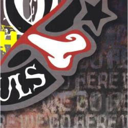 The Bouncing Souls "20th Anniversary Series: Volume Four" 7"