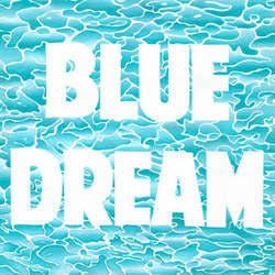 Turnover "Blue Dream" 7"