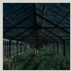 Foxing "Dealer" LP