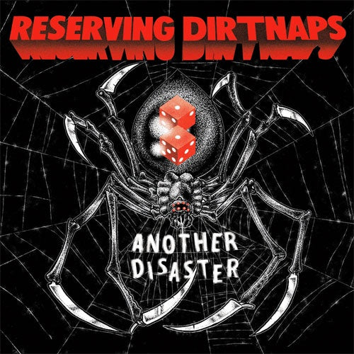Reserving Dirtnaps "Another Disaster" 7"