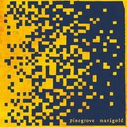 Pinegrove "Marigold" CD