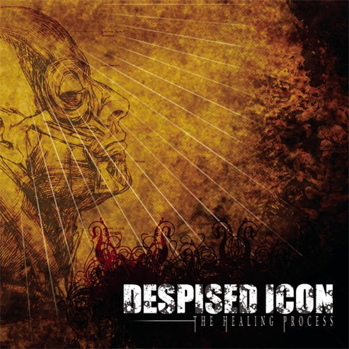 Despised Icon "The Healing Process" LP