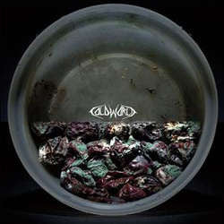 Cold World (Italy) / Hummingbird Of Death	"Split"	LP