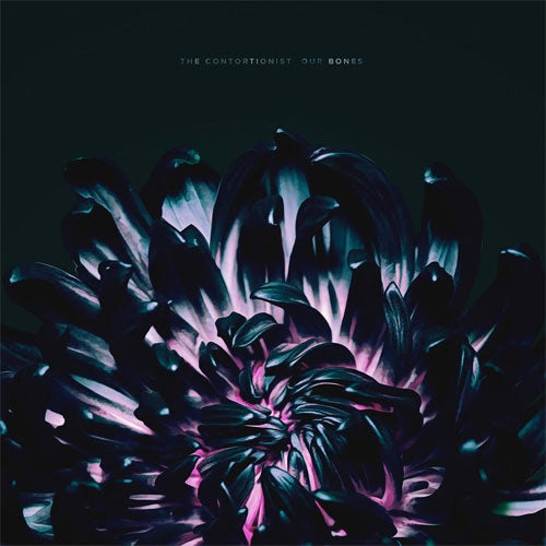The Contortionist "Our Bones" LP