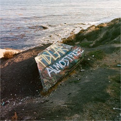 Fidlar "Almost Free" LP