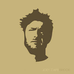 Joey Cape "Bridge" LP