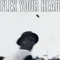 Various "Flex Your Head" LP