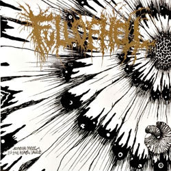 Full Of Hell "Amber Mote In The Black Vault" 7"