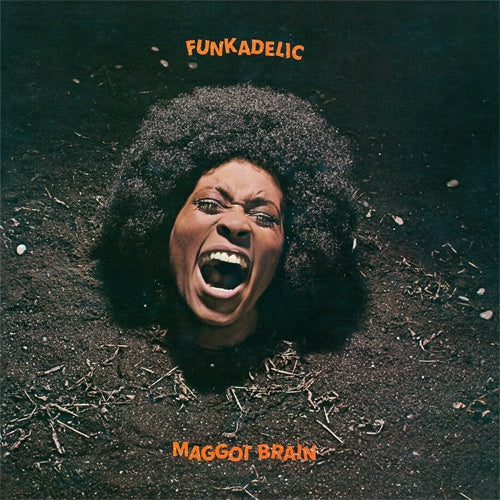 Funkadelic "Maggot Brain" LP
