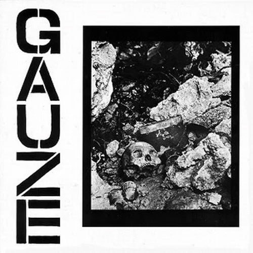 Gauze ‎"Equalizing Distort" LP