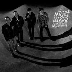 Night Birds	"Born To Die In Suburbia"	CD