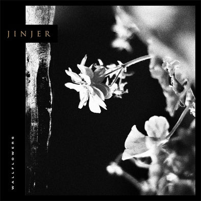 Jinjer "Wallflowers" LP