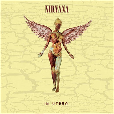 Nirvana "In Utero (30th Anniversary)" LP / 10"