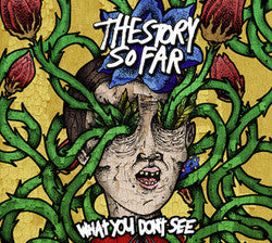 The Story So Far "What You Don't See" CD