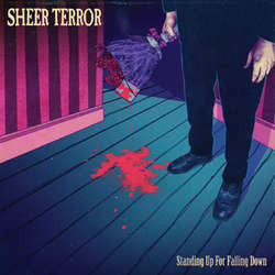 Sheer Terror "Standing Up For Falling Down" CD